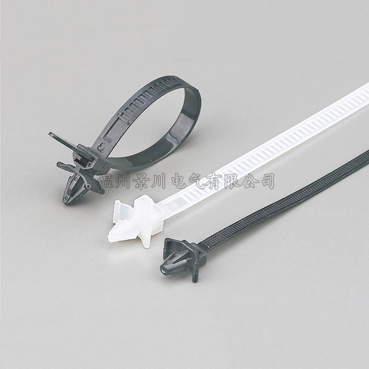  插銷(xiāo)式扎帶